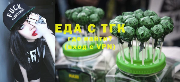 индика Арсеньев