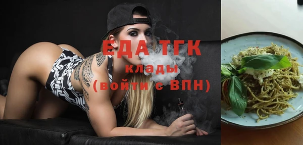 индика Арсеньев
