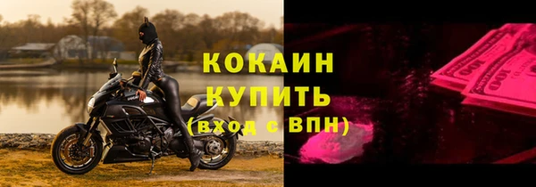 индика Арсеньев