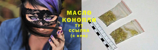 индика Арсеньев