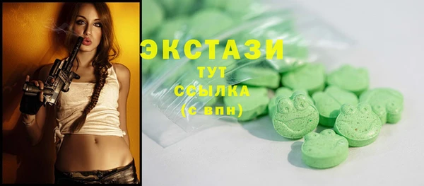 индика Арсеньев