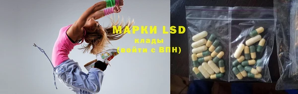 индика Арсеньев