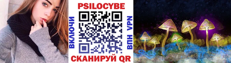 Псилоцибиновые грибы прущие грибы  где купить наркоту  Гаджиево 